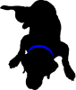 Splat Dog Logo